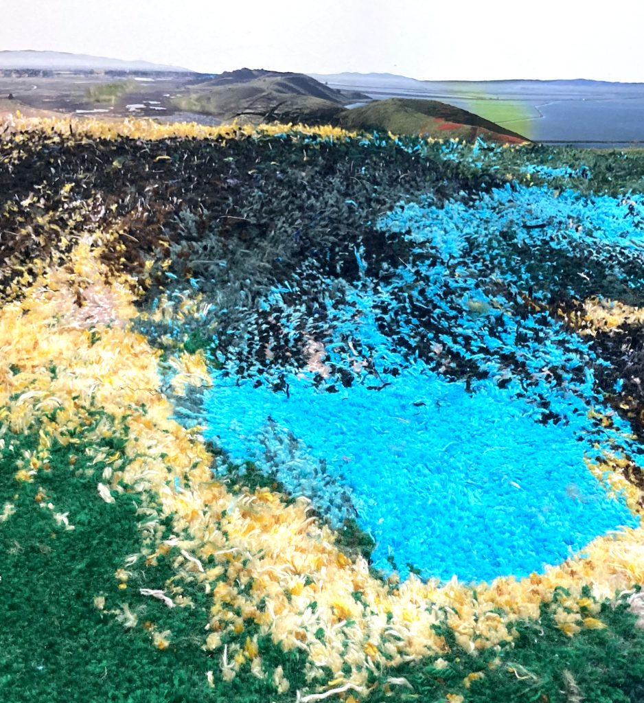 Close up photo of a rug with many colors. The rug meets the wall and there is a photo vinyl of a hilly bay landscape in the back